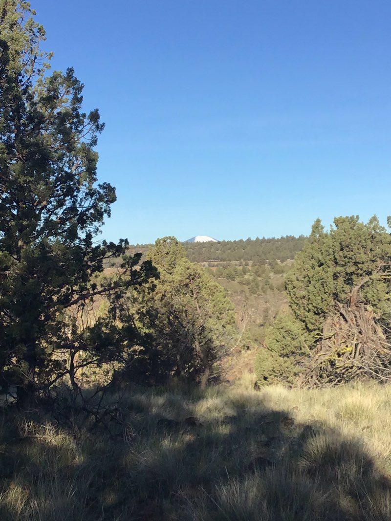 walking near me in Deschutes Canyon-Steelhead Falls Wilderness Study Area in spring