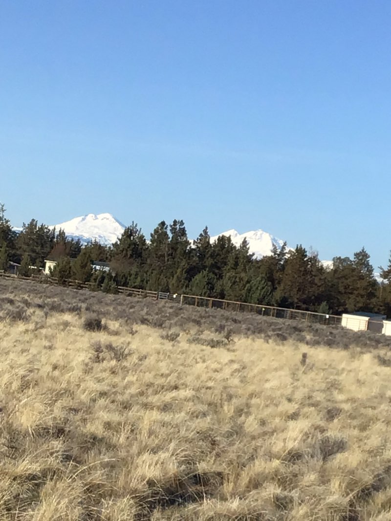 walking near me in Panorama Park in spring