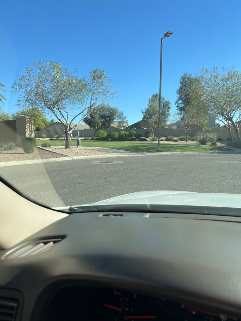 walking near me in MSF Park Area in spring