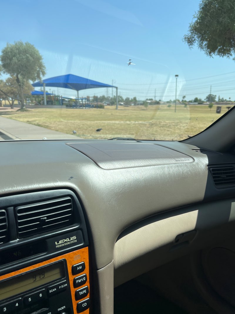 walking near me in Palo Verde Park in spring