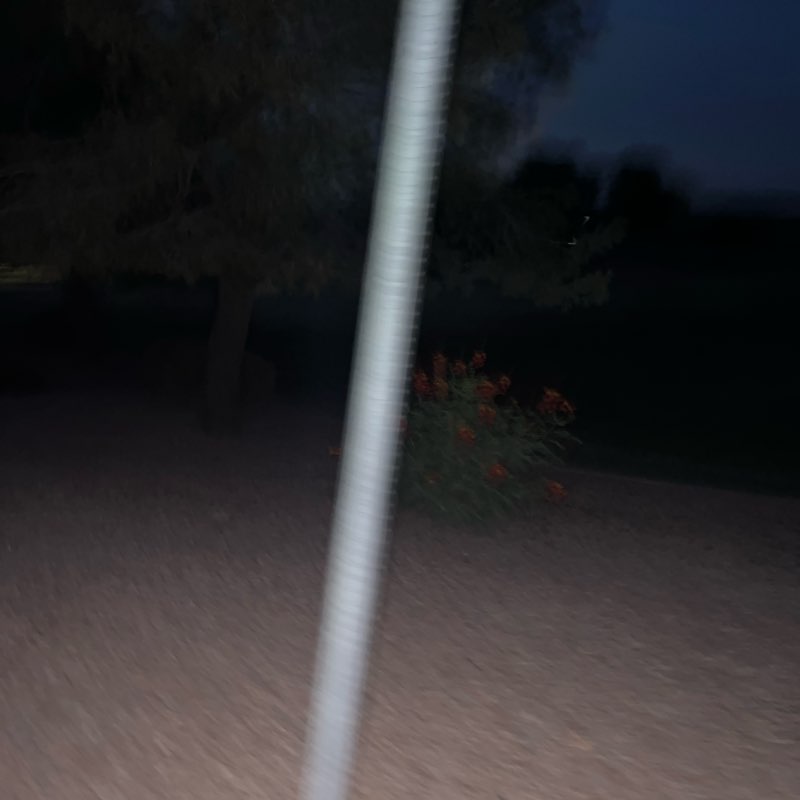 Alex post 1