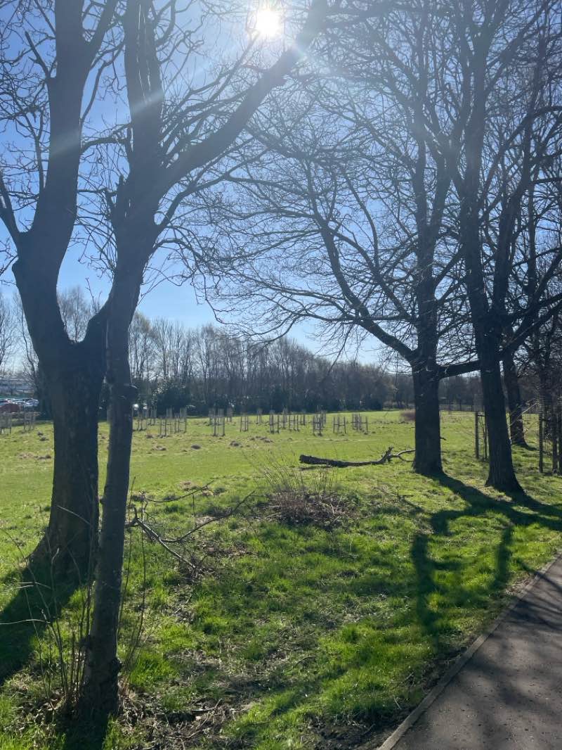 walking near me in Gyle Park in spring