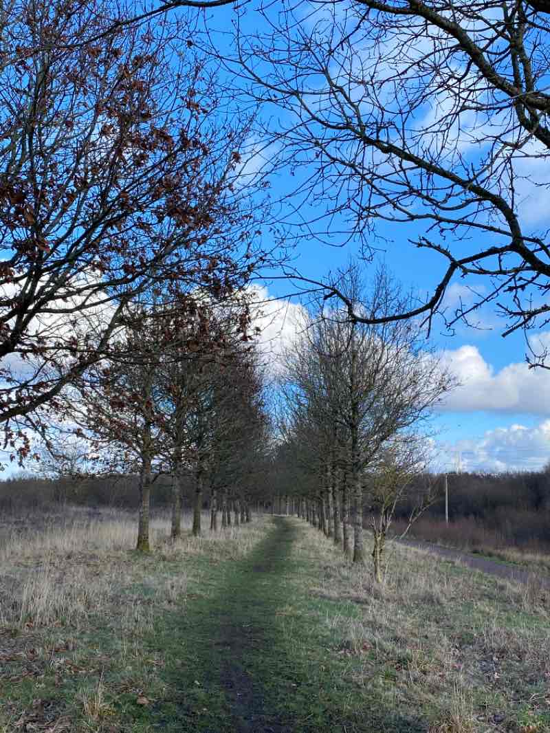 walking near me in Memorial Park in winter
