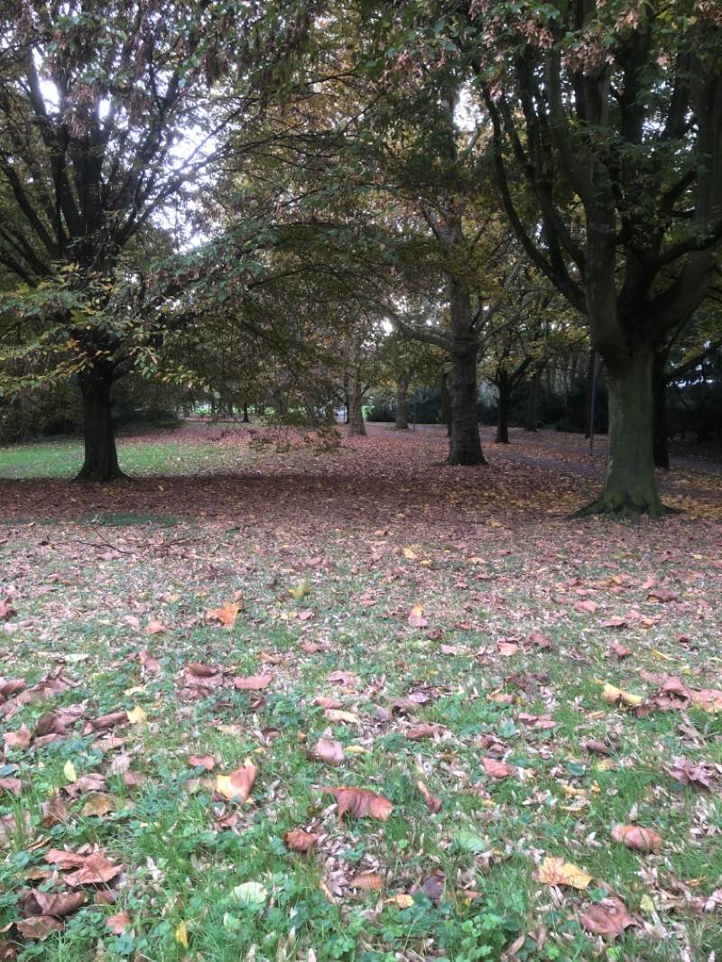 walking near me in Vorgebirgspark in winter