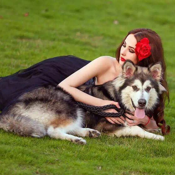 🐎 Lily 🐈‍⬛