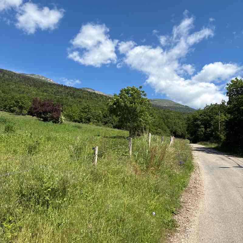 Vince 🇫🇷🇳🇱🕊️☦️ post 2