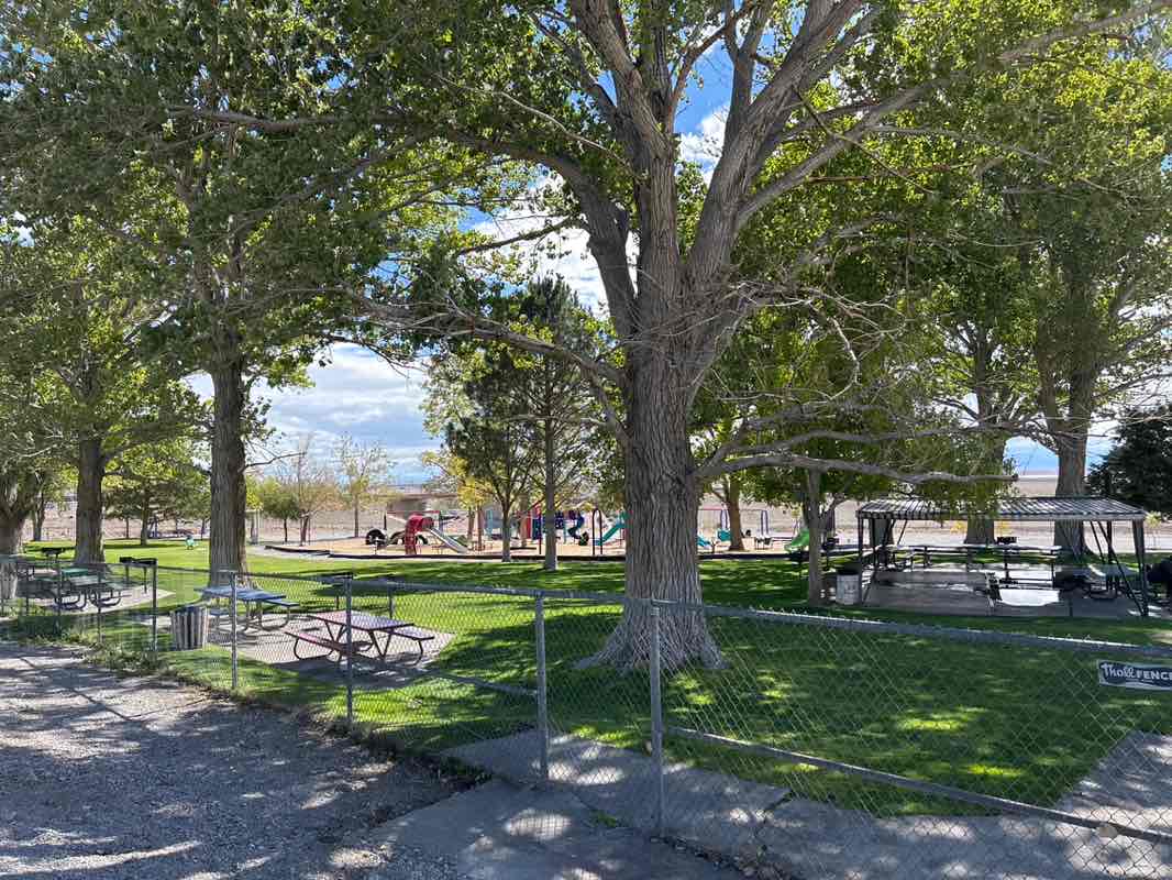 walking near me in Scobie Park in autumn