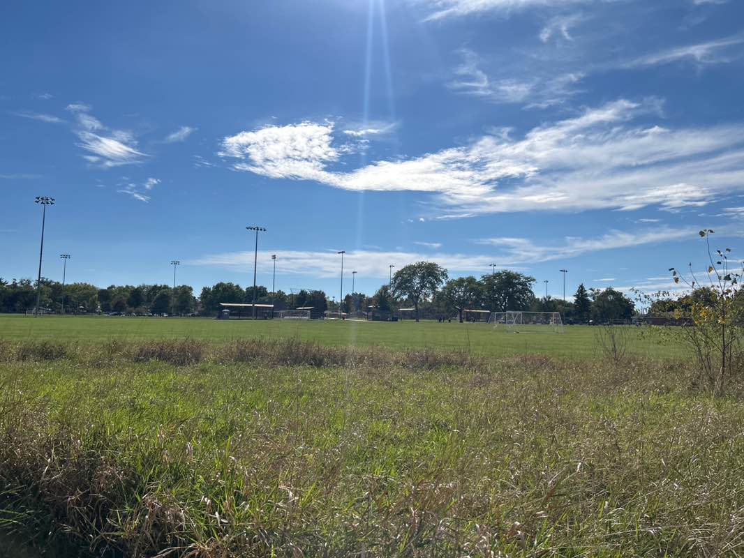 walking near me in Community Park in autumn