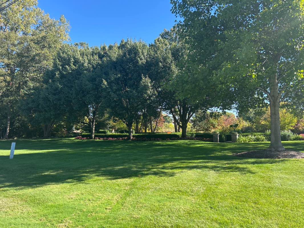 walking near me in Morningside Park in autumn