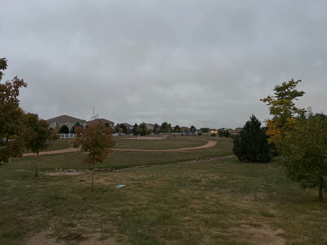 walking near me in Feathergrass Park in autumn