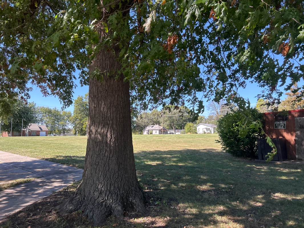walking near me in Gravesville Park in autumn