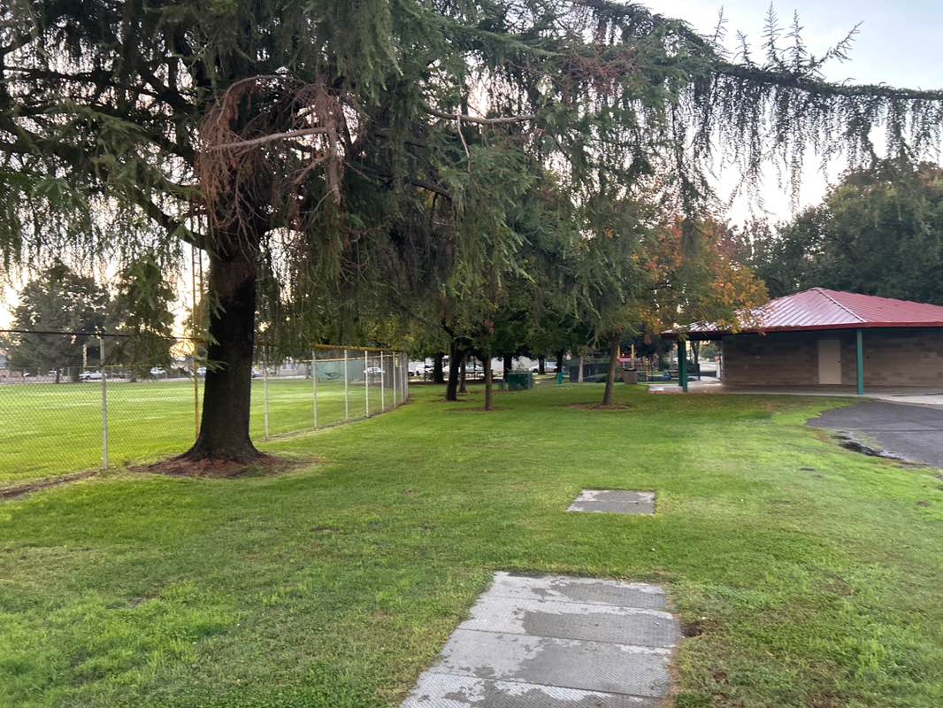 walking near me in R C Wisener Park in autumn