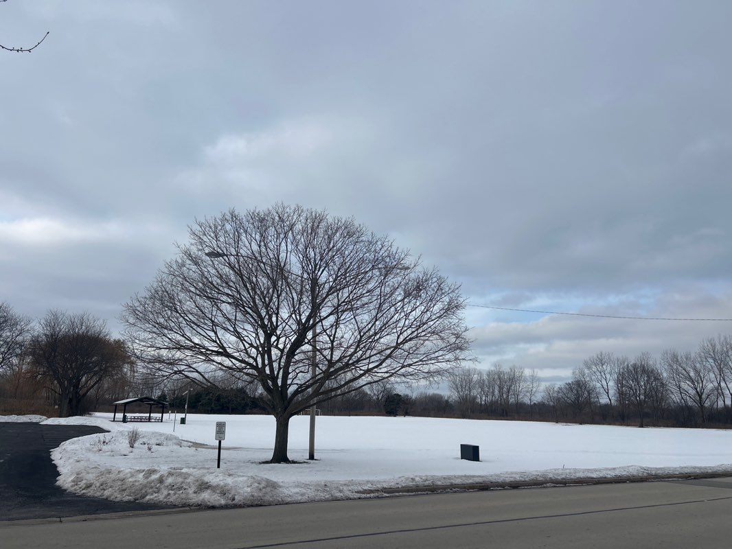 walking near me in Raymond Benson Park in winter