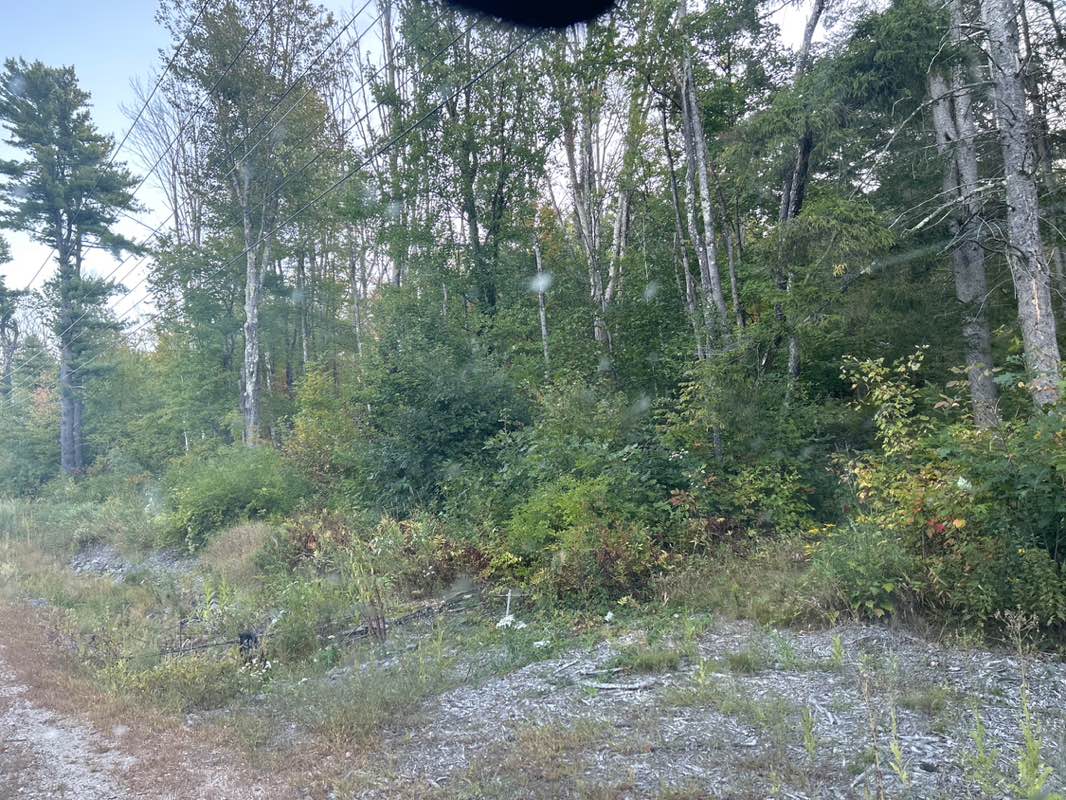 walking near me in Brother's Beach Town Park in autumn