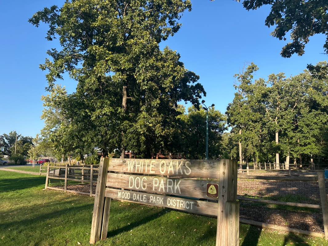 walking near me in White Oak Park in autumn