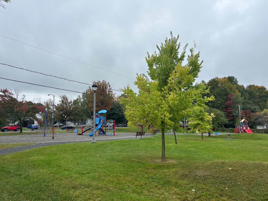 walking near me in Parc Flaubert in autumn