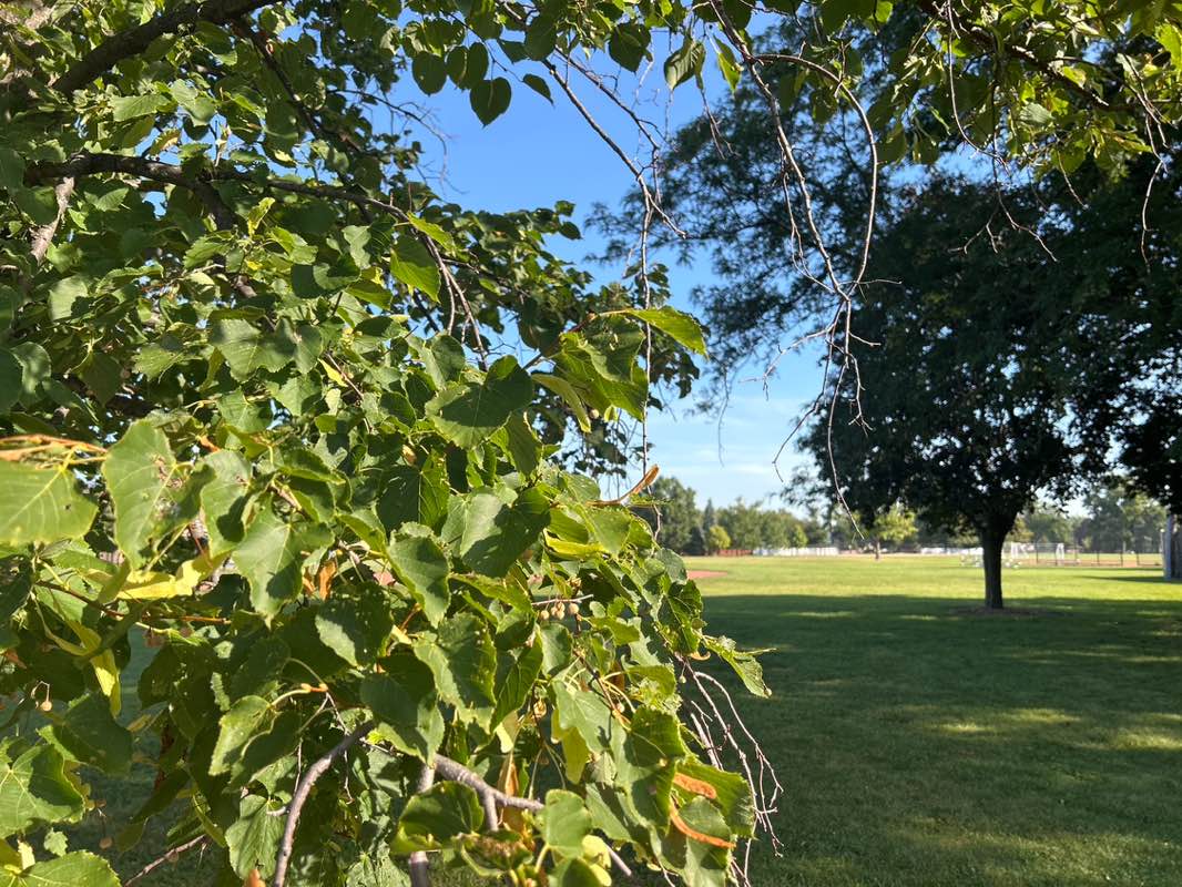 walking near me in Conrad Fisher Park in autumn