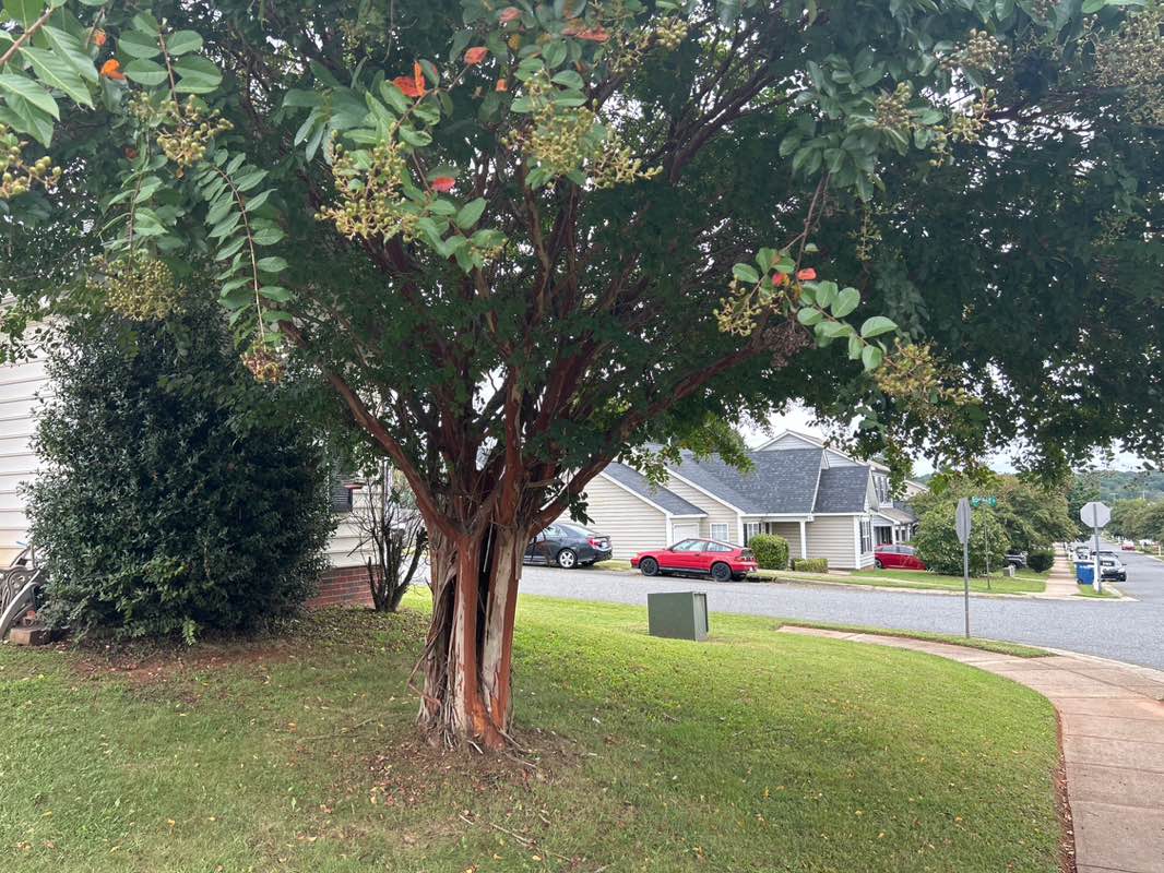 walking near me in Statesville Soccer Complex and Park in autumn