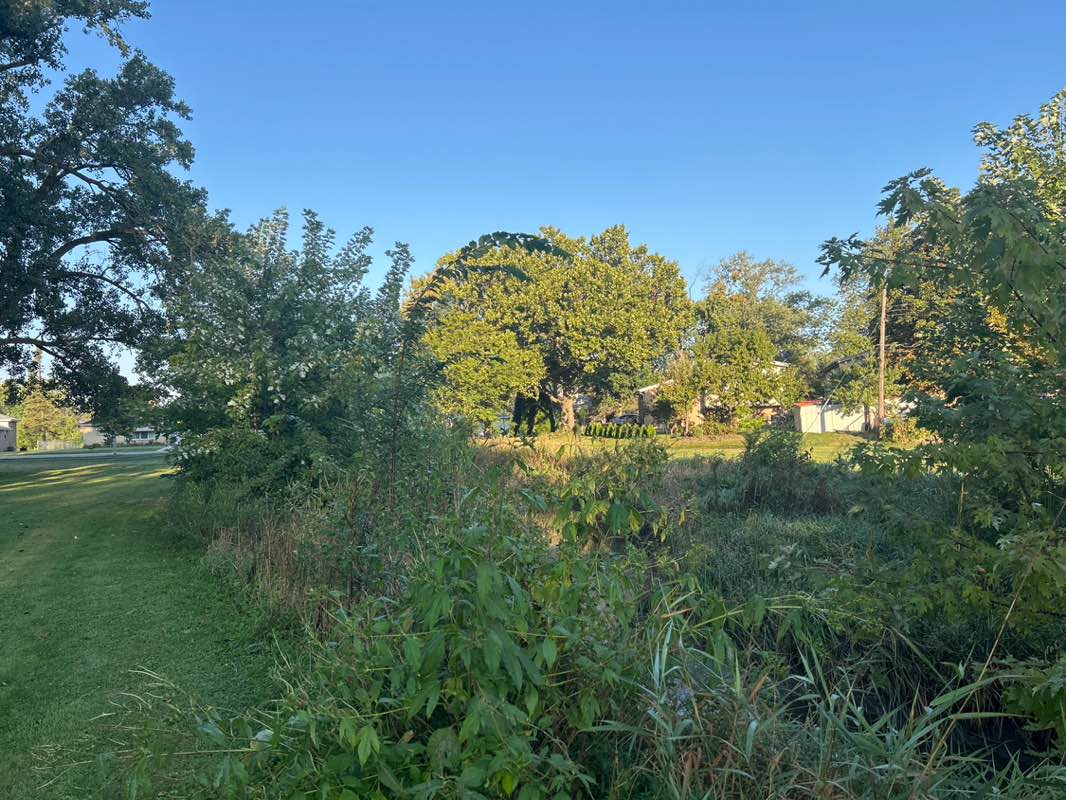 walking near me in Green Meadow Park in autumn