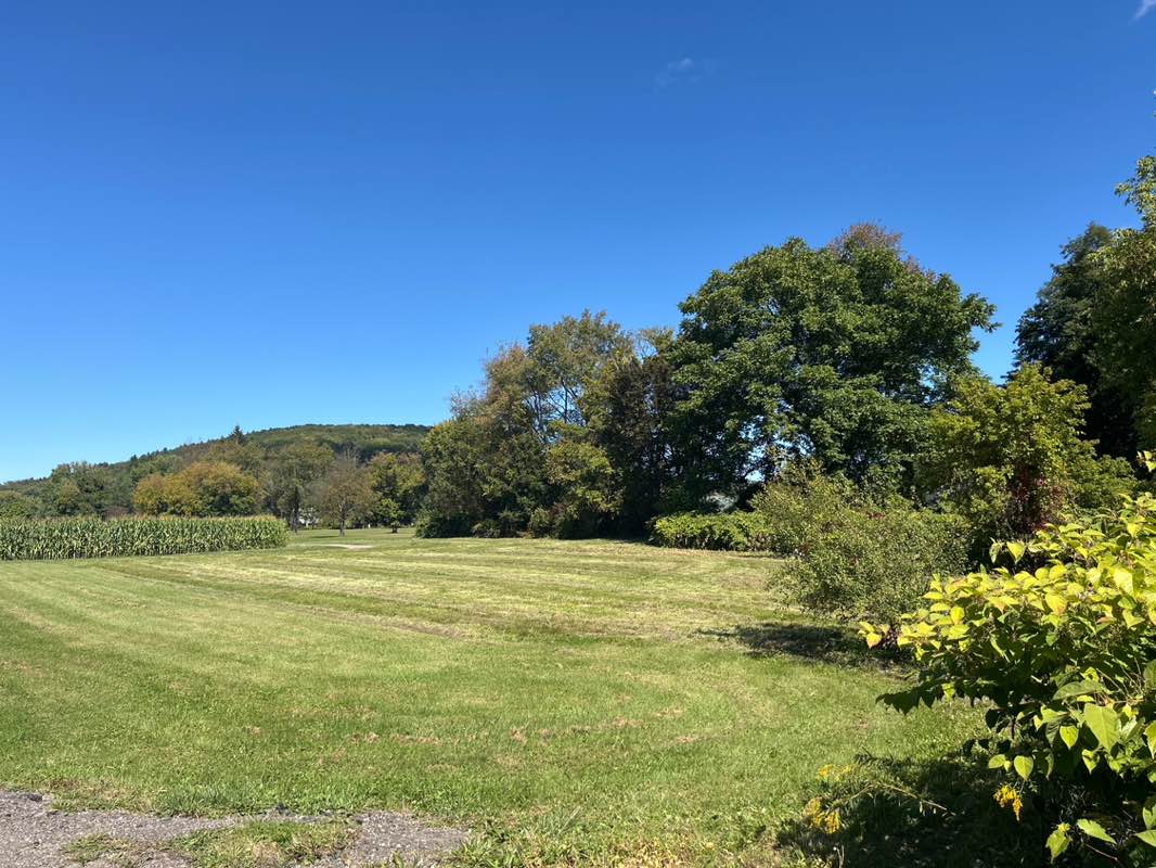 walking near me in Keith Clark Park in autumn