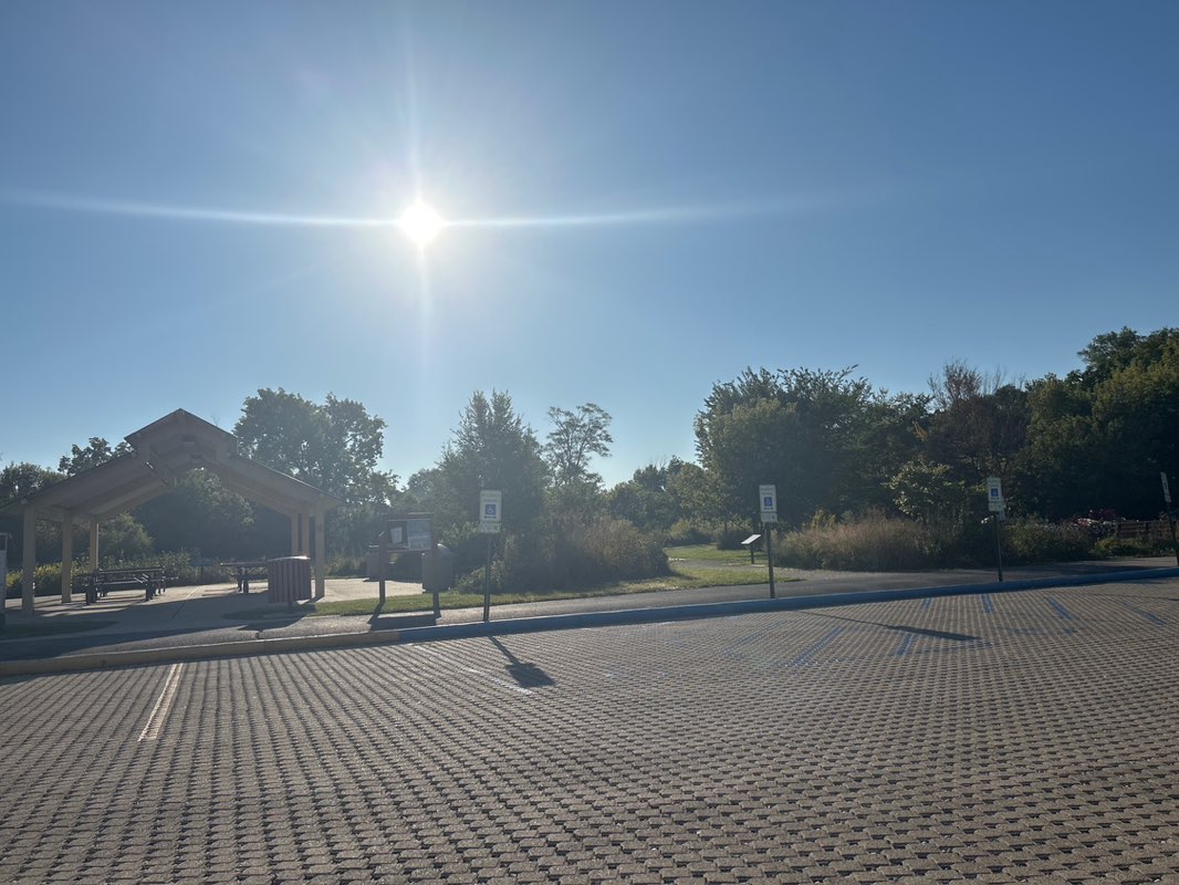 walking near me in Breiter-Palm Park in autumn