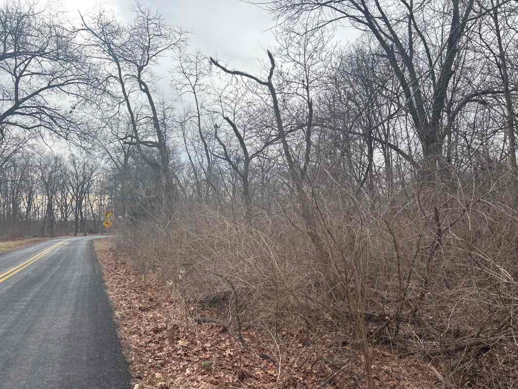 walking near me in Stiers Family Park in winter