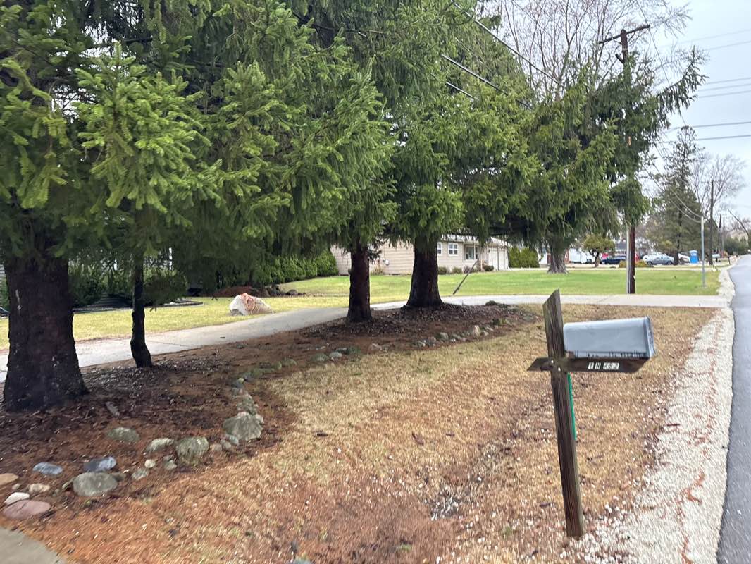 walking near me in Spalding Park in spring