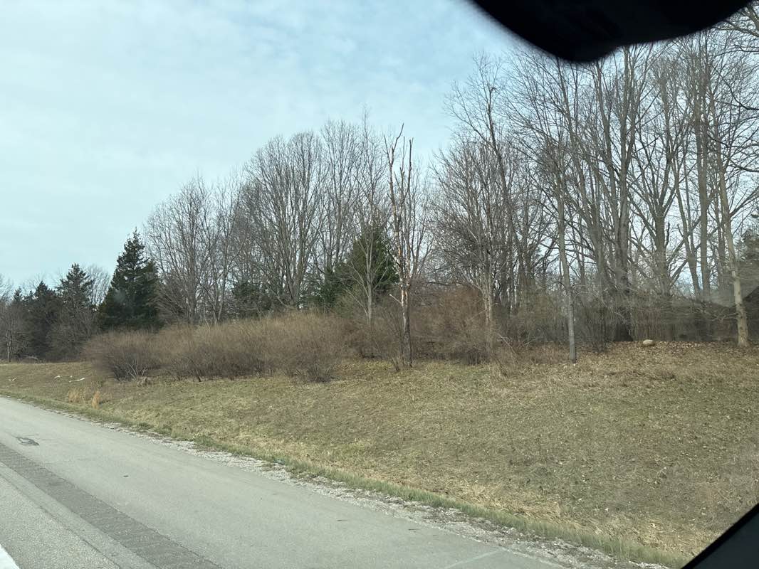 walking near me in Schultz Park in spring