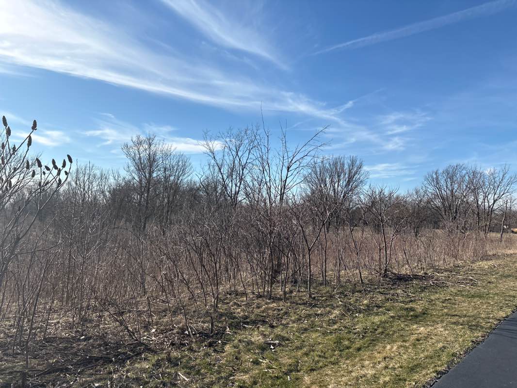 walking near me in Raymond Benson Park in spring