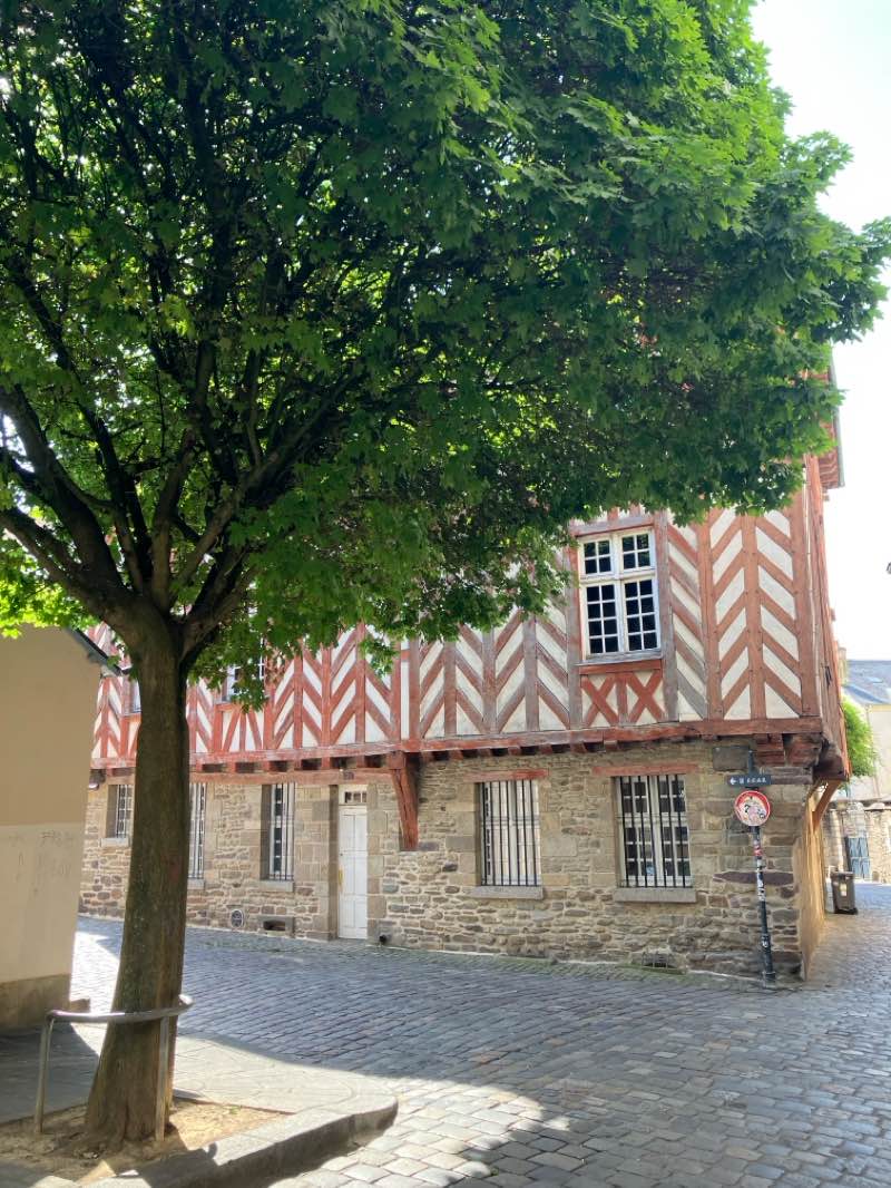 walking near me in Jardin Saint-Georges in winter