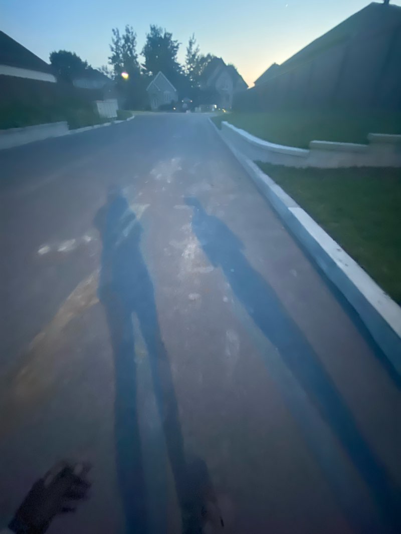 walking near me in Parc Sainte-Marthe-sur-le-Lac in winter