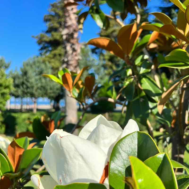 Поход Фей к стройности Kristina post image