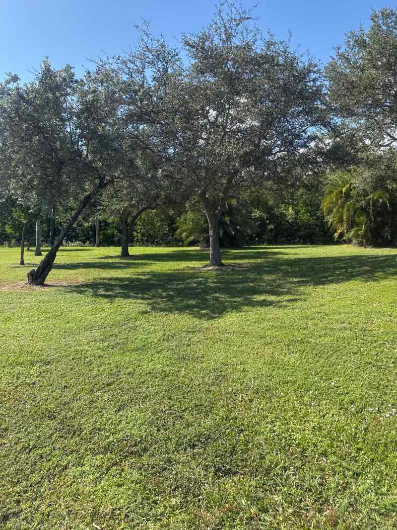 walking near me in Sheridan Street Addition Park in autumn