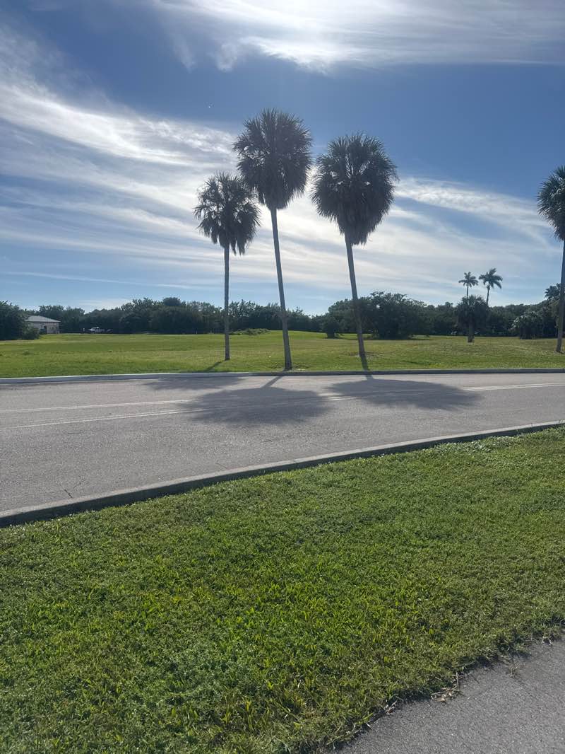 walking near me in Sheridan Street Addition Park in winter