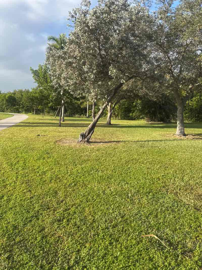 walking near me in Sheridan Street Addition Park in winter