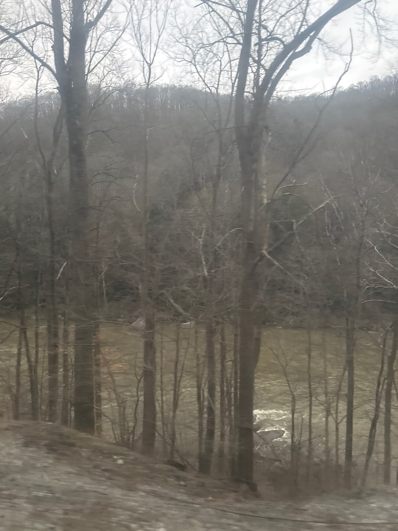 walking near me in Ohiopyle State Park in spring