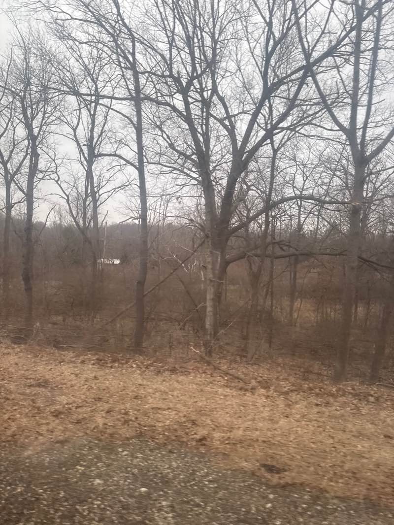 walking near me in Red Mill County Park in spring