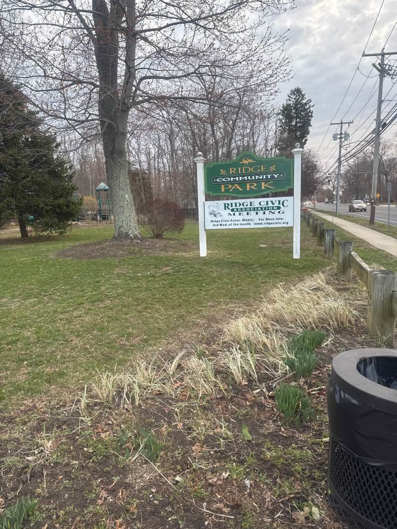 walking near me in Ridge Community Park in spring