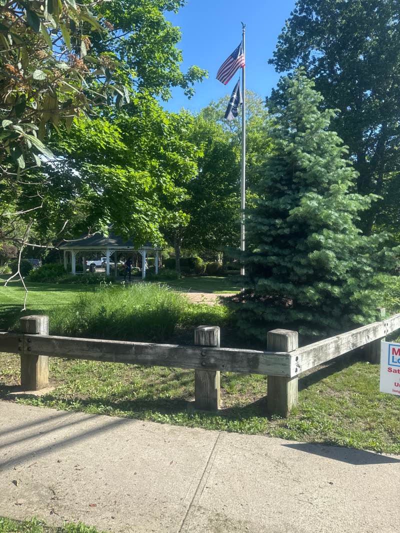 walking near me in Ridge Community Park in summer