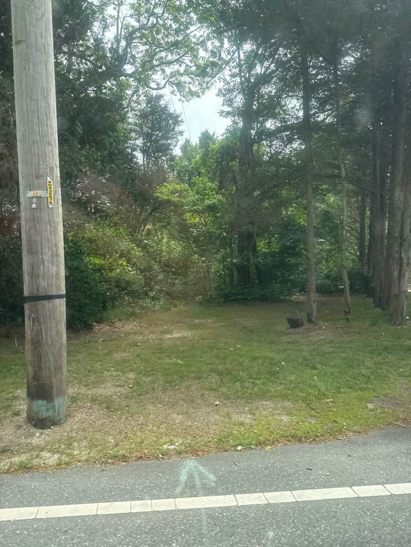 walking near me in Longwood Estate in summer