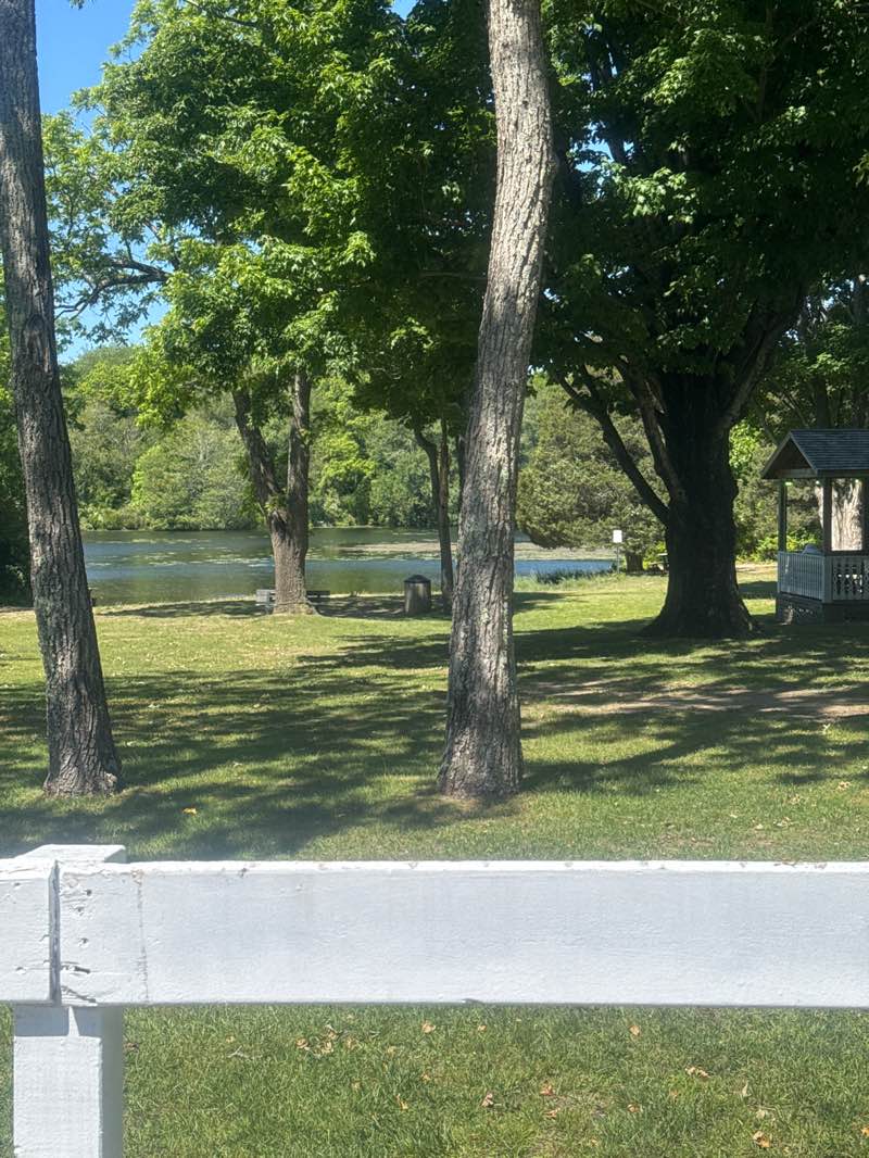 walking near me in Yaphank Lake Park in summer
