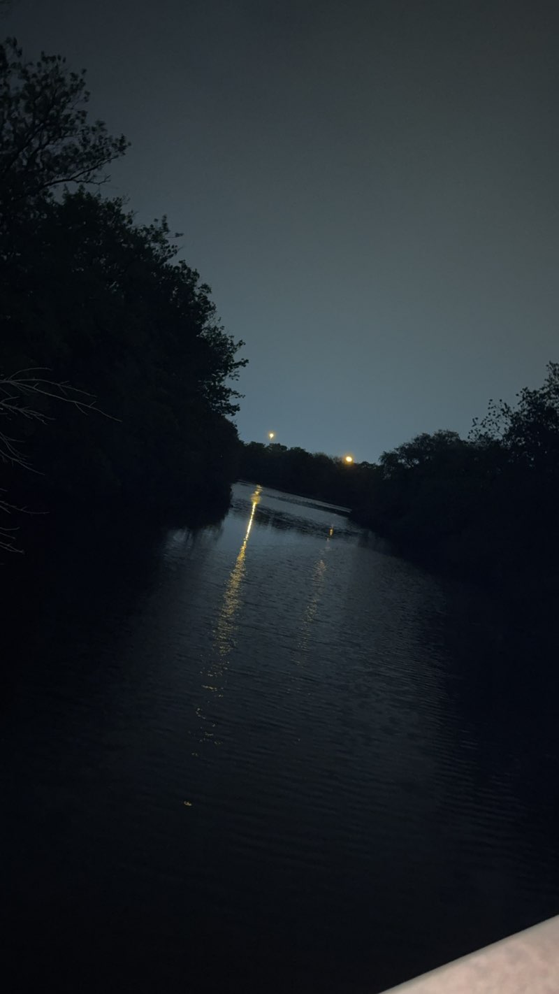 walking near me in Confederation Beach Park in spring