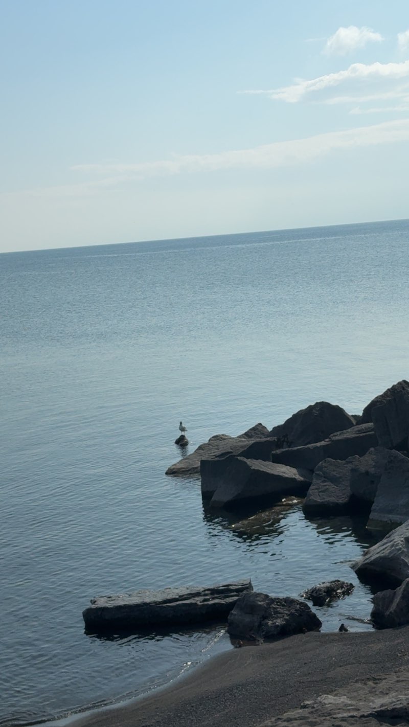 walking near me in Kinsmen Playground in autumn