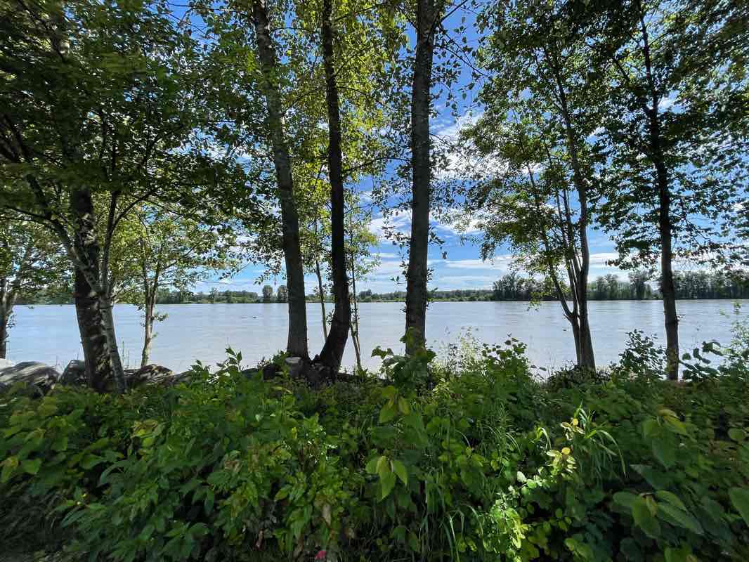 walking near me in Shoreline Park in winter