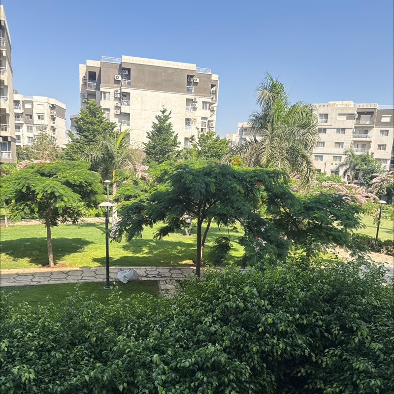 م. الجبر 🇸🇦 profile