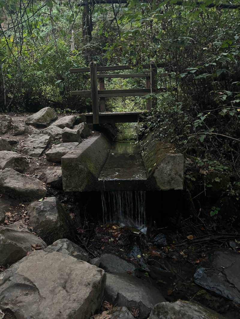 walking near me in Cedar Island Park in winter