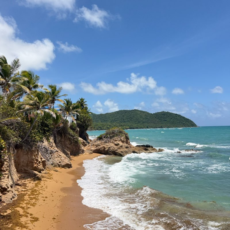 Lionel 🇵🇷🌊🏄🏽‍♂️🐶 profile