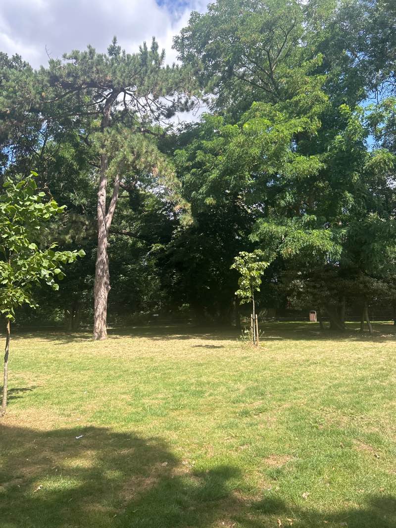 walking near me in Trinity Park in summer