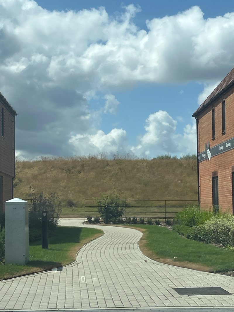 walking near me in Linear Park in summer