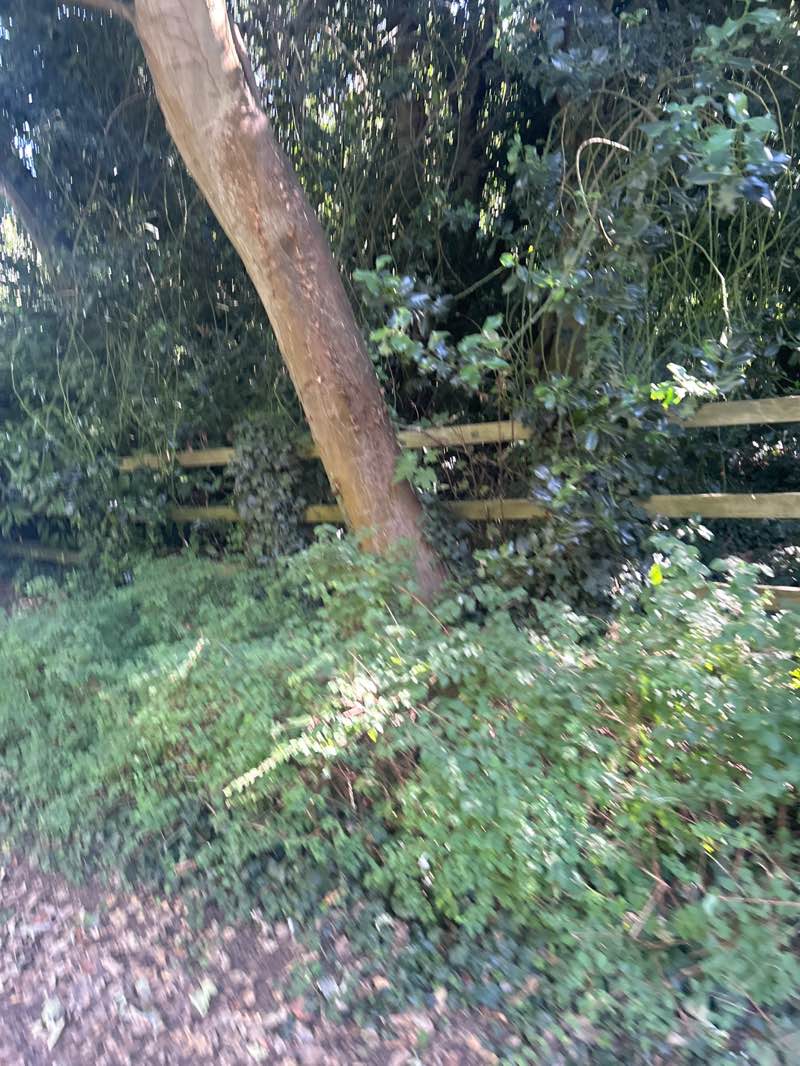 walking near me in Vinters Valley Nature Reserve in autumn